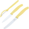 Кухонный набор Victorinox Swiss Classic Paring Set 6.7116.31L82