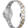 Наручные часы VICTORINOX Alliance 241842