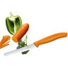Нож для овощей VICTORINOX SWISSCLASSIC TOMATO&TABLE 6.7836.L119