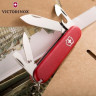 Нож Victorinox EcoLine Recruit 2.2503