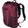 Рюкзак Victorinox Altmont Deluxe Rolltop Laptop 19 л, бордовый (602138)