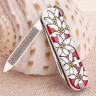 Нож-брелок Victorinox Classic Edelweiss 0.6203.840