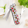 Нож-брелок Victorinox Classic Edelweiss 0.6203.840