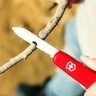 Складной нож Victorinox Waiter Ecoline 2.3303, красный